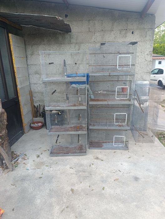 Gaiolas para pássaros