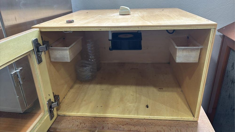 Incubadora abelhas rainhas