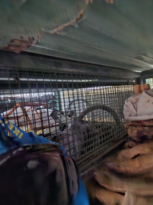 Canil com duas zonas