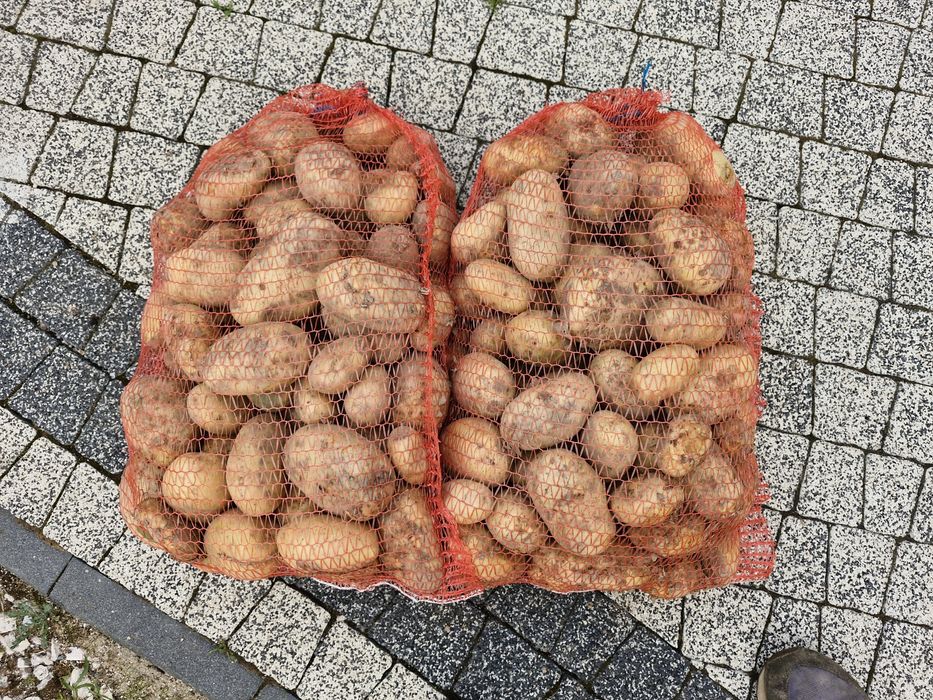 Smaczne ziemniaki,możliwość transportu