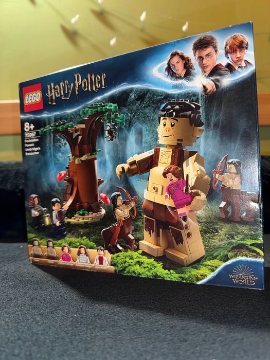 Lego harry poter 75967 Заборонений ліс.Зустріч з Абридж і Гротиком.