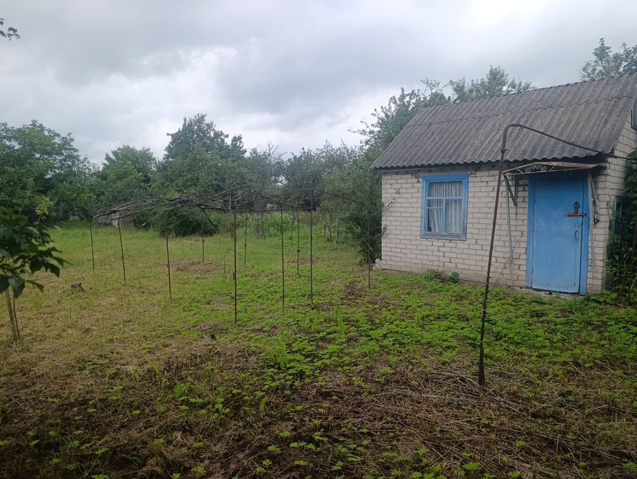 Дачна земельна ділянка