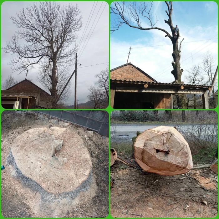 Зрізання дерев з гарантією збереження майна