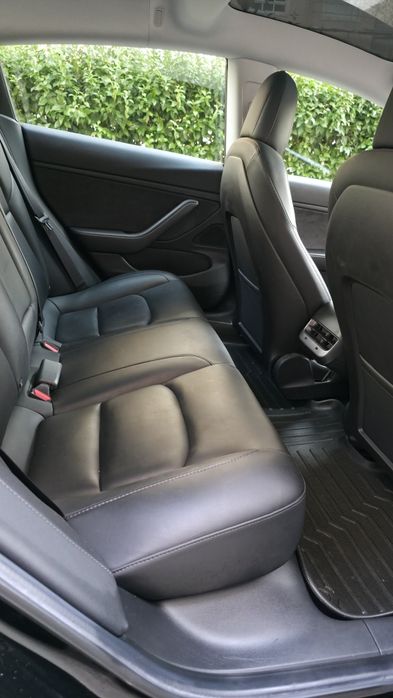 Tesla standard range 74000kms