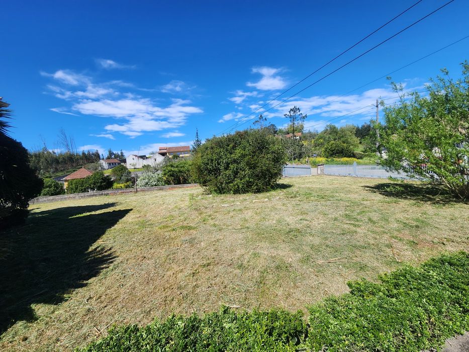 Serviço de limpeza de terrenos com roçadora