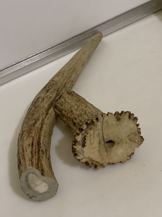 Натуральный олений рог