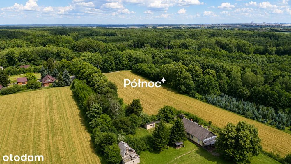 Siedlisko w Stańkowie wśród lasu-5min od Chełma