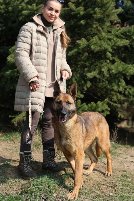 Do świadomej adopcji
