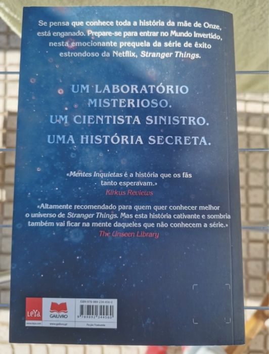 Livro Stranger Things - Mentes Inquietas