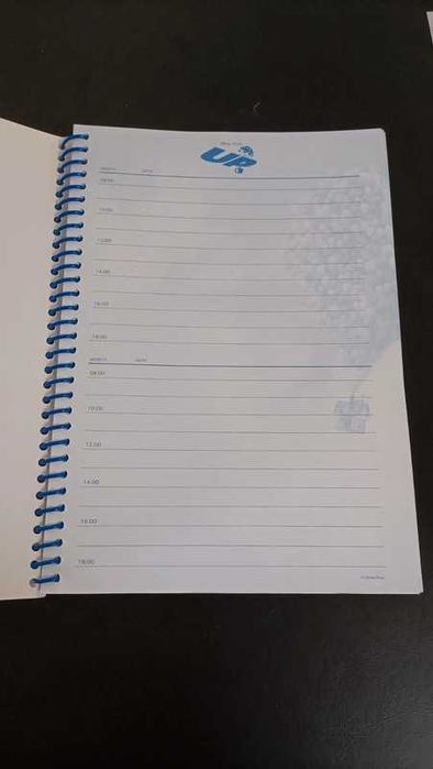 Agenda Promocional Pixar Up Disney