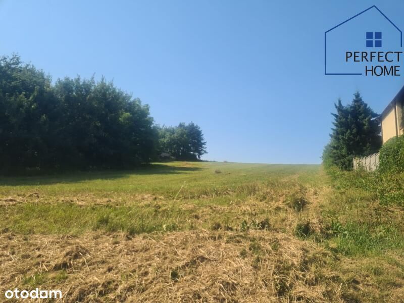 4 działki budowlane Pszów Doły okazja!
