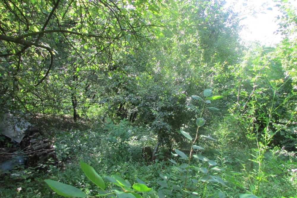 Земельна ділянка 10 соток в с/т "Кожевнік" вул. Отто Шмідта 22/26