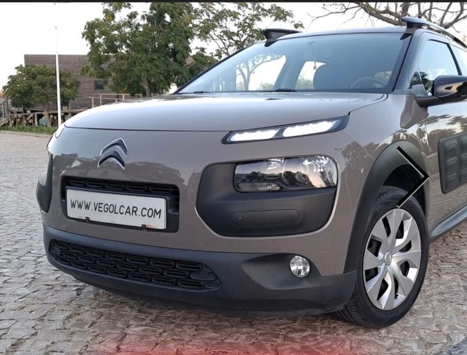 Citrien C4 Cactus
