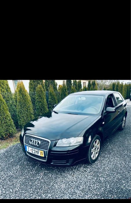 Audi a3 8P 1,9 TDI