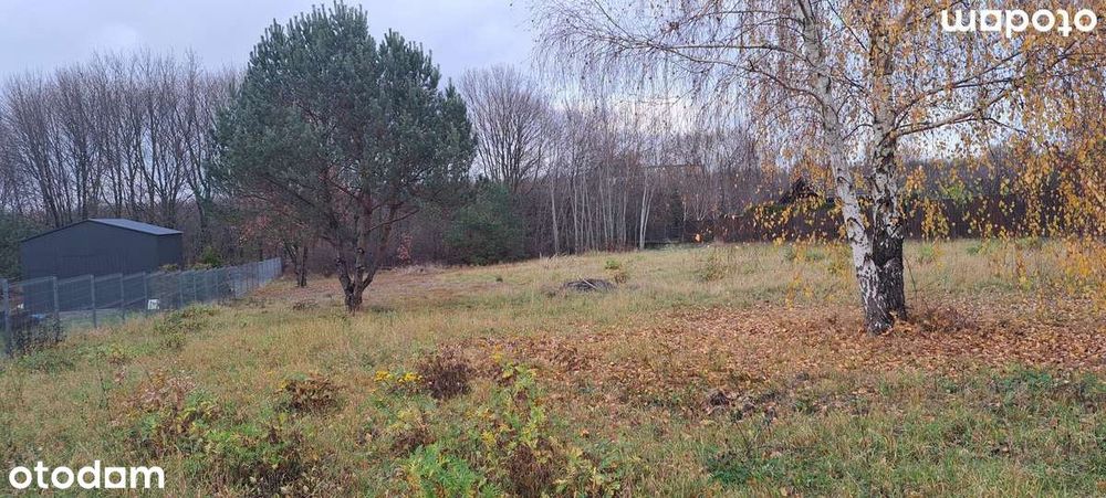 Na sprzedaż – działka budowlana 23 ary, Klikawa ul. Klonowa
