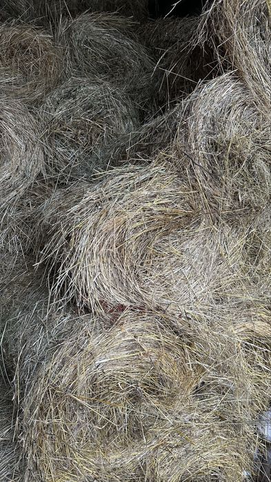 Сіно в тюках