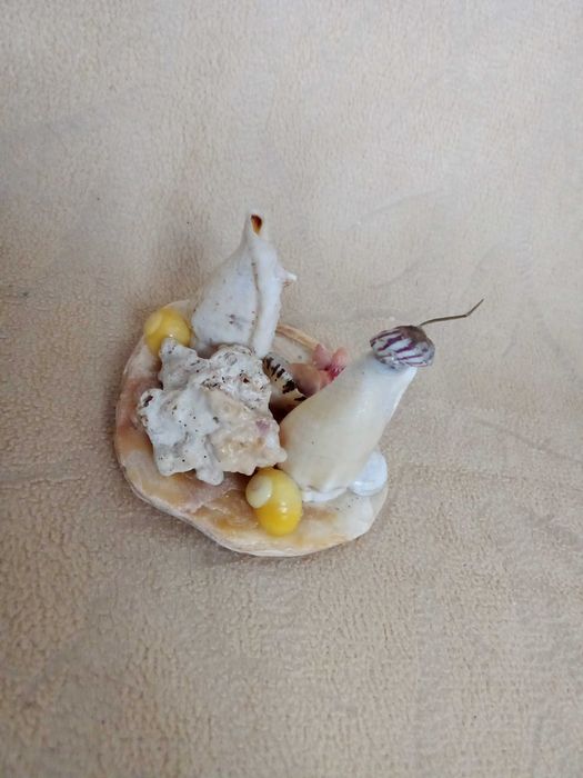 Presépio Miniatura Conchas Artesanal