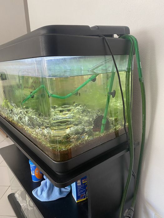 AQUÁRIO 100 litros completamente equipado com Móvel