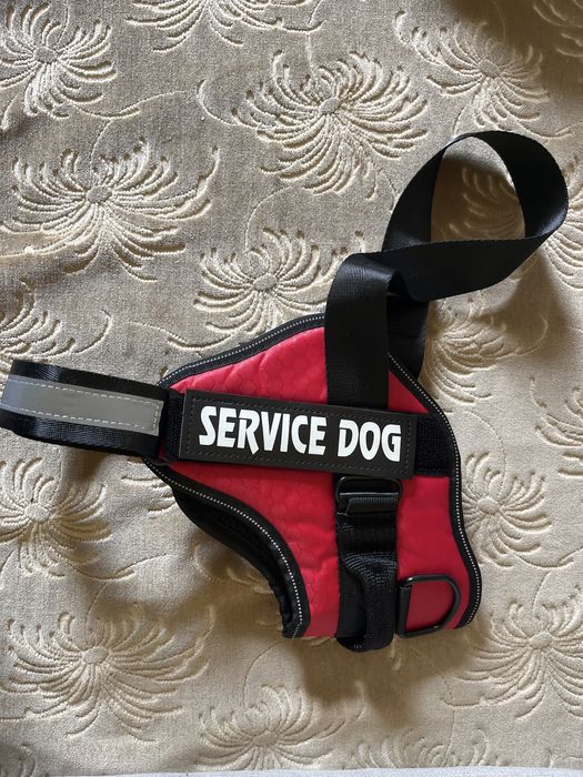 Шлея доя собак Pet Style "Service Dog