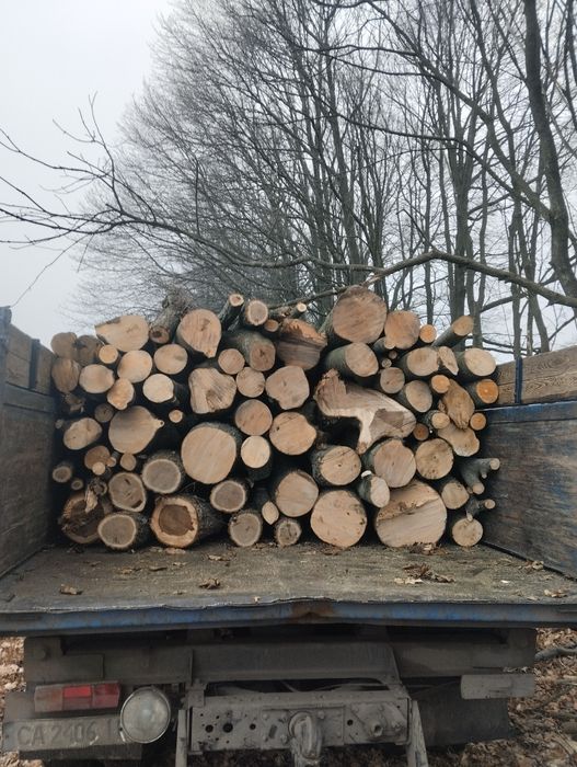 Продам дрова твёрдых/мешаных пород