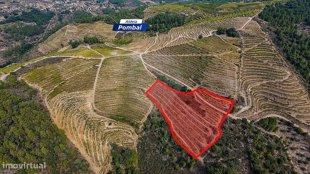 Terreno  para venda