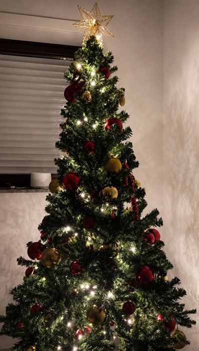 Árvore de Natal + enfeites