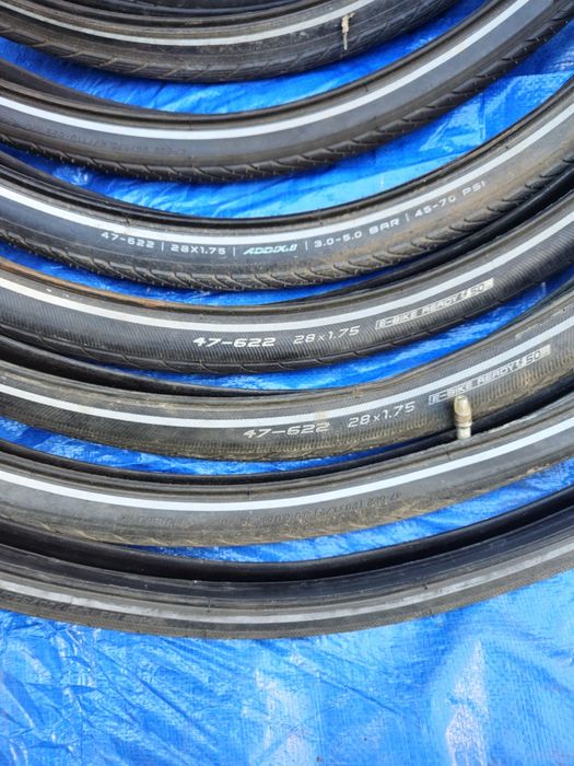 Continental contact plus  Schwalbe Kenda