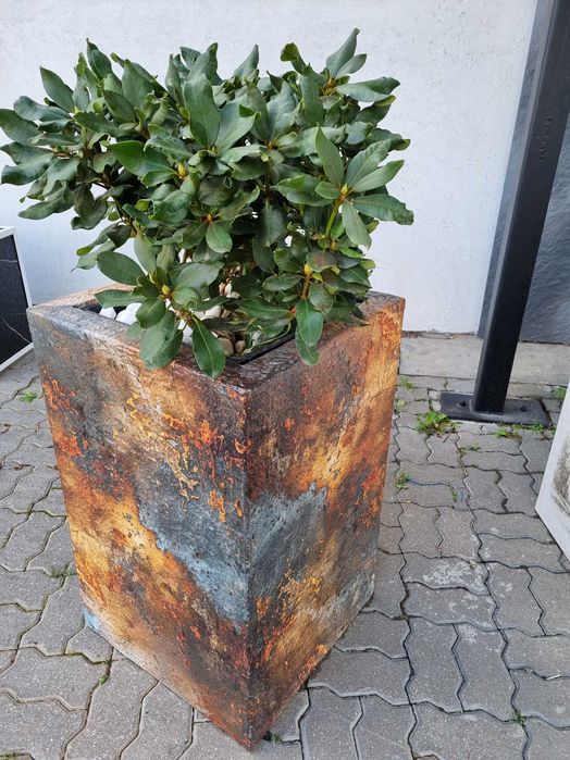 Termodonica z grafiką