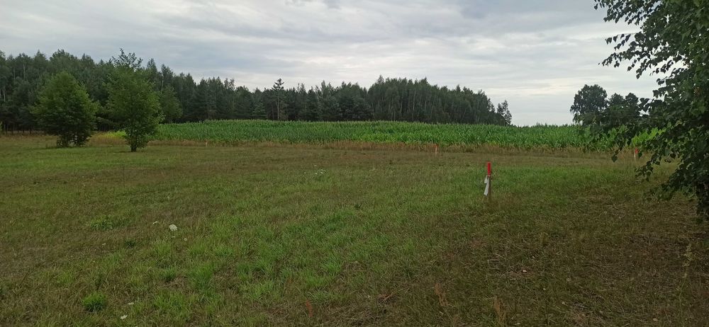 Budowlane Tołcze