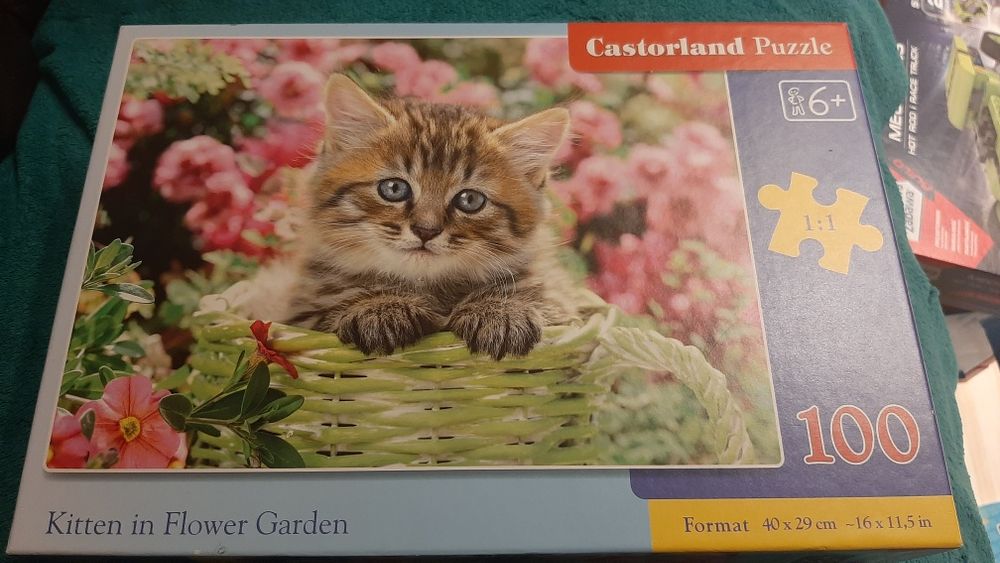 Puzzle Castorland 100 elem.