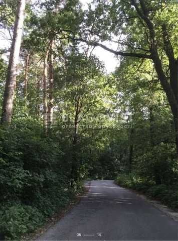 Чапаевка - участок 9 соток