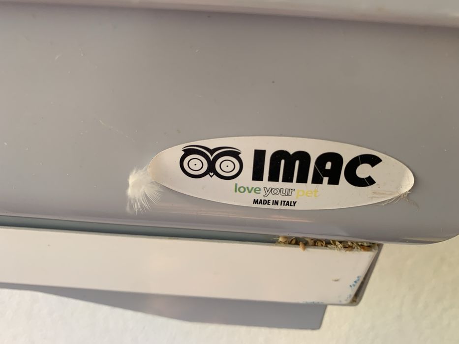 Vendo gaiola da Imac com 11 Mandarins e comida