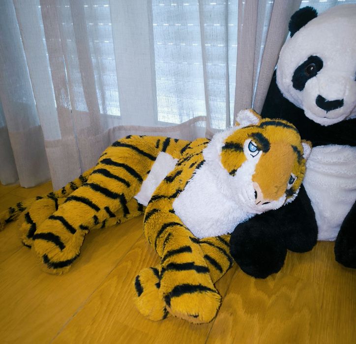 Animais de peluche precisam novo lar