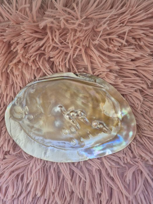 Натуральная ракушка с жемчужинами