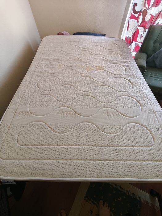 Colchao viscoelastico bioscience fresche
