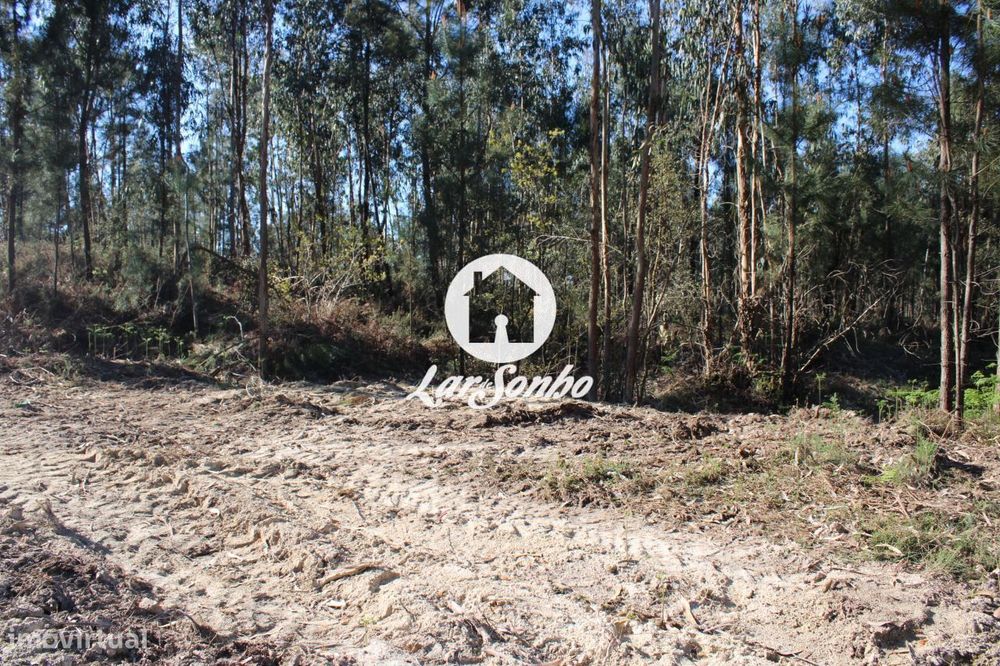 Land for Construction