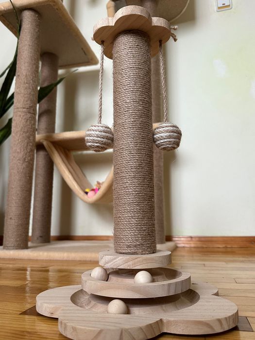 Котяча кігтеточка