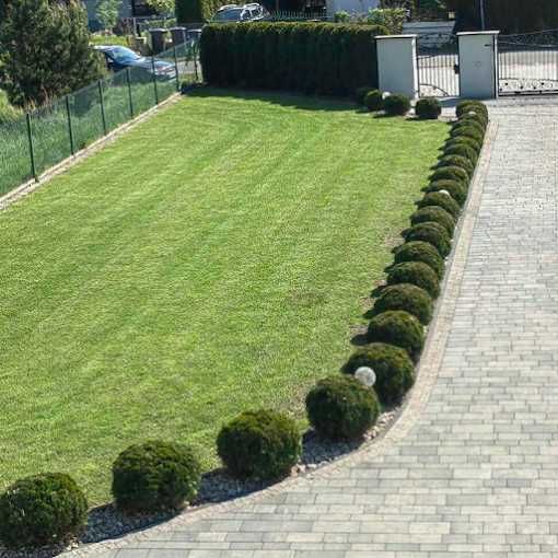 Usługi ogrodnicze, Przycinanie, formowanie, koszenie traw