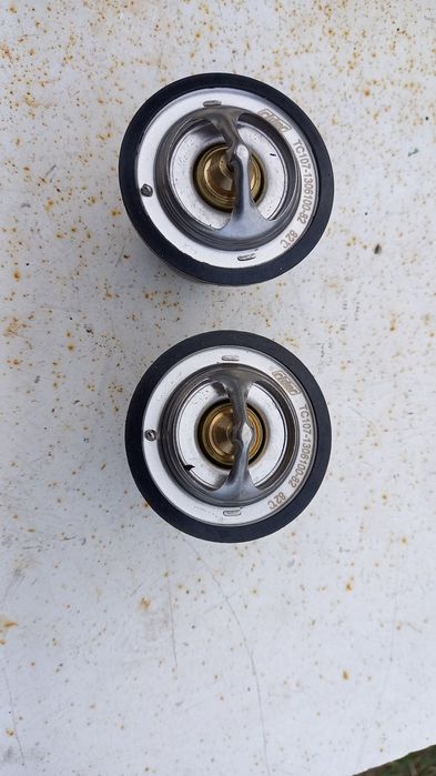 Термостат ТС107-1306100-82 rider