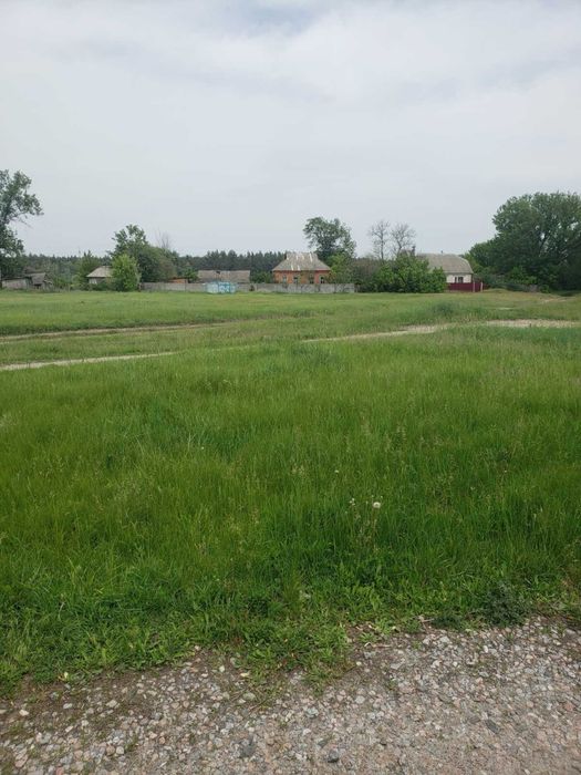 Продам дом с участком