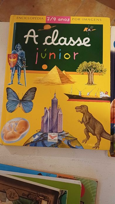 Livros juvenis varios autores