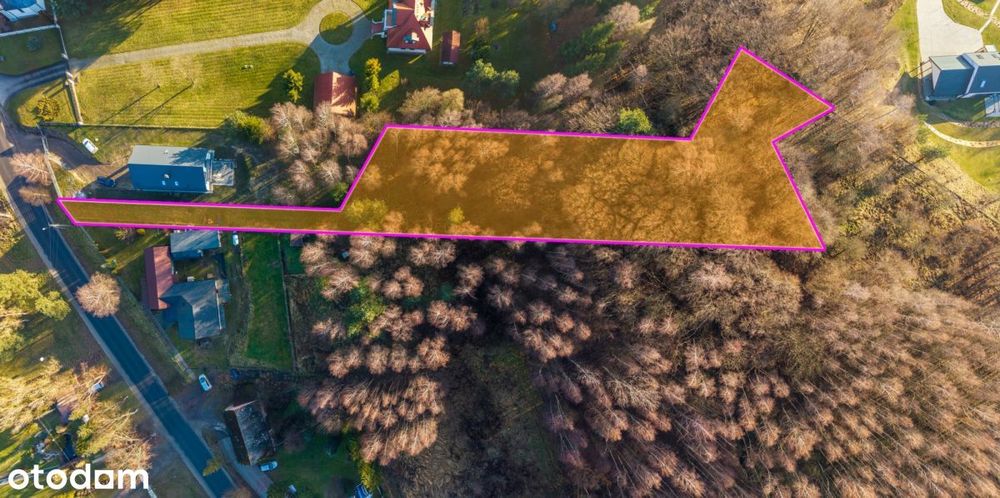 Działka budowlana z własnymi skałkami Jurajskimi - Widok 4