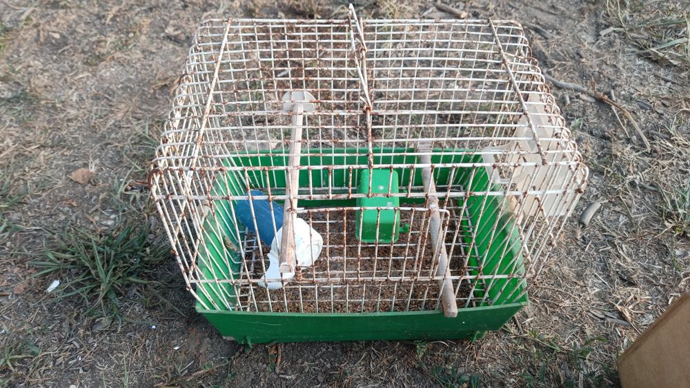 Viveiros, Gaiolas para aves, canários.