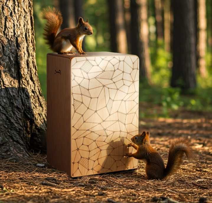 Кахон Suntime BaseTone: Нічого зайвого тільки бездоганний звук + чохол