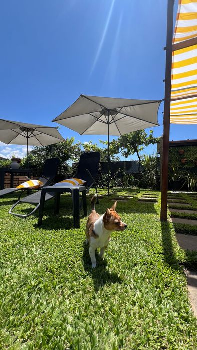 Espaço para Eventos e Festas de Aniversário com Piscina