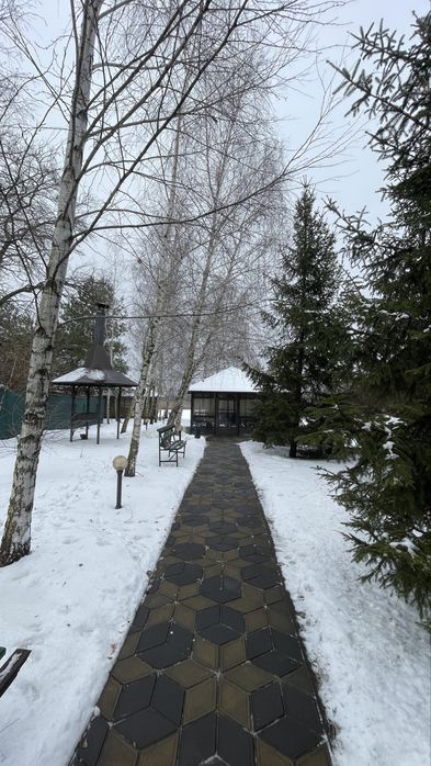 Продам Кафе з пляжем на березі Дніпра, Старий Томас