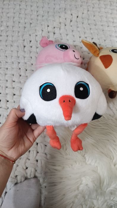 Gang pluszaki Biedronka Lidl