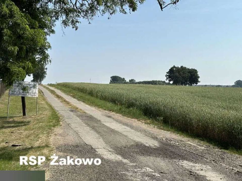 Tartak i grunty rolne. Wielkopolska - Widok 3
