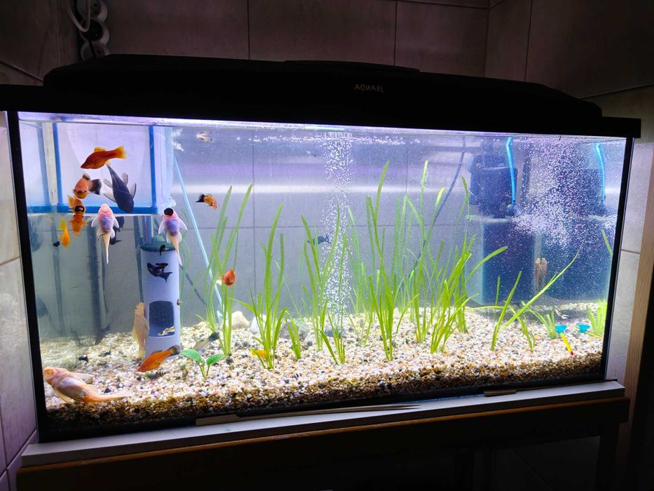 Akwarium 112L Zestaw