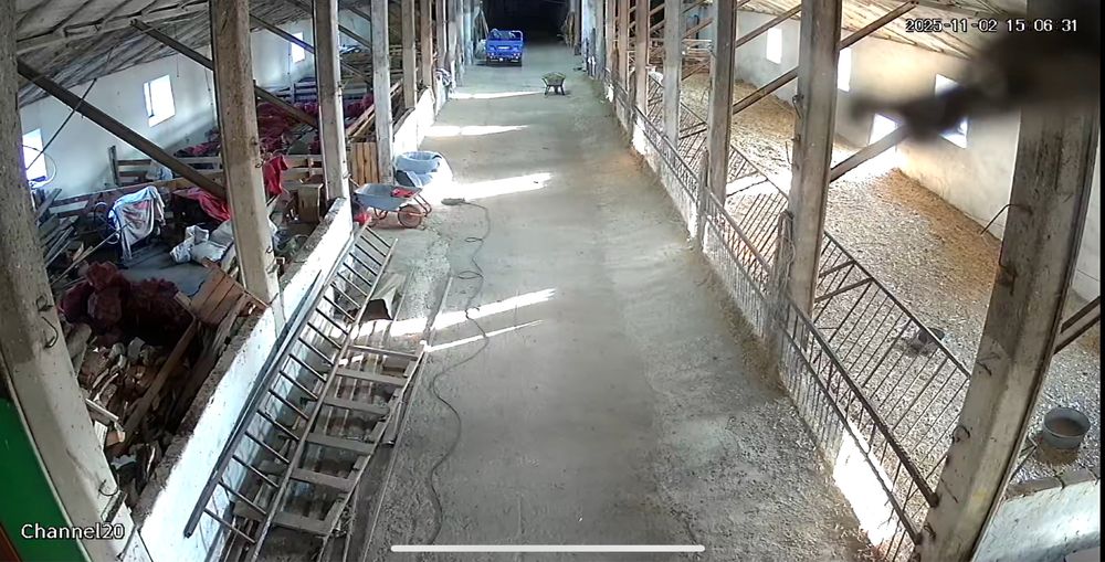 Оренда ферма/комерційна нерухомість/овоческлад/теплиці